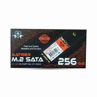 AATIGERS M.2 (256GB)