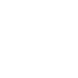 AA Tigers