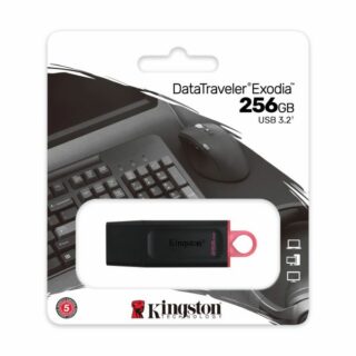 Kingston "256Gb" Usb